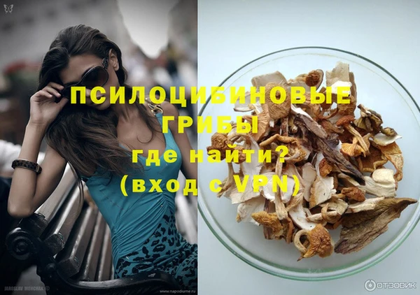 дурь Нея